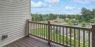 46270 MOUNT ALLEN Terrace Gallery 15