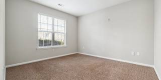 Tree Park Apartments Gallery 26