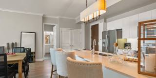 The Residence Buckhead Atlanta Gallery 4