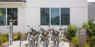 Independence at The Preserve Gallery 46