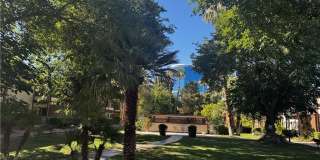 350 E Desert Inn Road Gallery 15