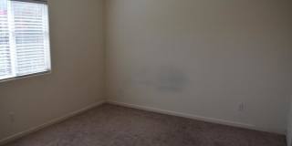 686 Phelps Drive Gallery 13