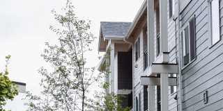 Trailhead at the Preserve Gallery 21