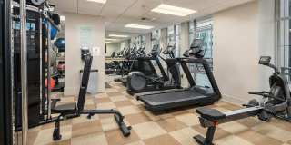 Cosmopolitan Condominiums ~ South Lake Union Gallery 17