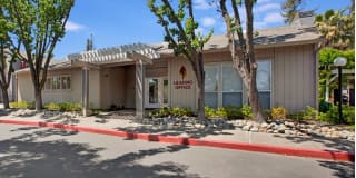 Veranda at the Park Veranda at the Park Gallery 12