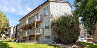 Silverbrook Gallery 31