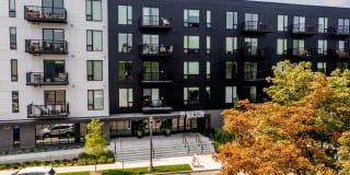 The Mason Gallery 19