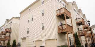 42294 SAN JUAN Terrace Gallery 23