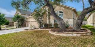 11338 Ivy Cadence Gallery 1