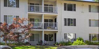 North Haven Apartments Gallery 1