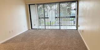 North St. Pete 2/2 condo Gallery 8