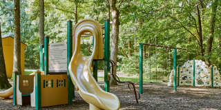 Reston Glade Gallery 26