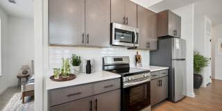 The Navigator The Navigator Gallery 3