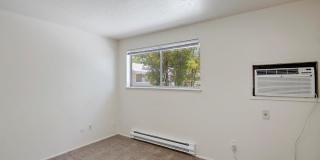 Sugar Pine Gallery 14