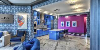 The Ivy Apartment Homes Gallery 5