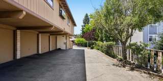 1977 Ascot Dr Gallery 22