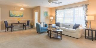 Waterbrook Gallery 7