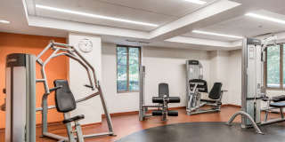 The Berkshire Gallery 6