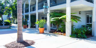 The Madrid Gallery 15