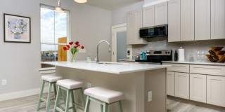 Mihir Taylor Gallery 8