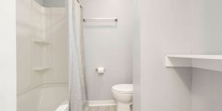 3624 Parthenia Avenue (South Louisville) Gallery 14