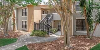 Solana Vista Gallery 15