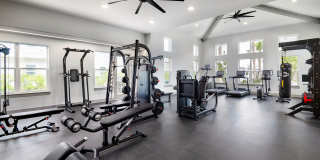 Livano Wildwood Gallery 13