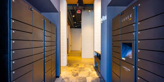 South Alex Gallery 35