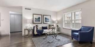 The Adalene Gallery 11