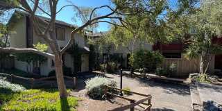 Renovated 2 Bed/1.5 Bath Townhouse in Park Pacifica with GARAGE! Renovated 2 Bed/1.5 Bath Townhouse in Park Pacifica with GARAGE! Gallery 1