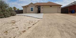 13702 Seahorse Gallery 2