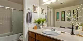12728 N 40th Place Gallery 21