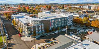 Westline Gallery 29