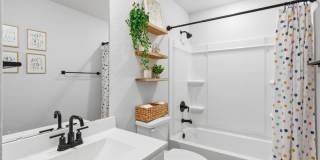 3523 Rancho Grande Gallery 16