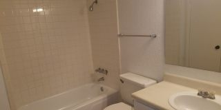 Forest Ridge Gallery 26