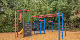 Summerlinn Gallery 8