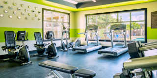 Lotus Village Gallery 1