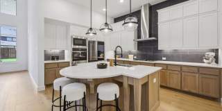 Beautiful 4 bedroom in desirable Prosper. Gallery 13