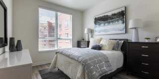 Two Nine North Gallery 58