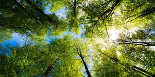 Velo Forest Hills Gallery 15