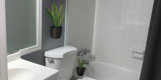 Appletree North Gallery 4