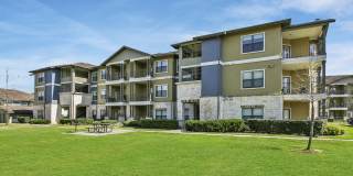 Hollow Tree Park Gallery 8