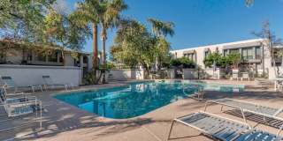 5225 N 24th St #105 Phoenix, AZ 85016 Gallery 11