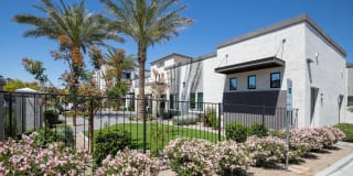 Acero Estrella Commons Gallery 29