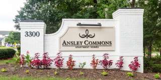Ansley Commons Gallery 15