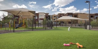 Liv Ahwatukee Gallery 8