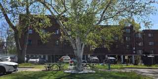 52 Atwood Street Gallery 14