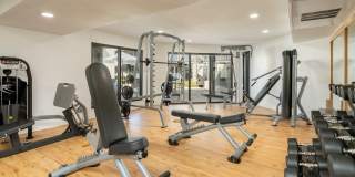 Madison Grove Gallery 16