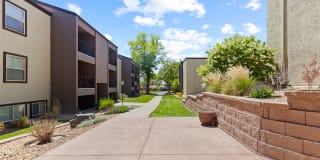 Sterling Heights Gallery 20