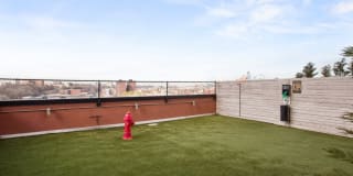 Cast Iron Lofts Gallery 21